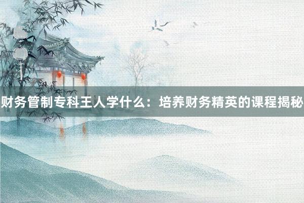 财务管制专科王人学什么：培养财务精英的课程揭秘