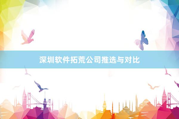 深圳软件拓荒公司推选与对比