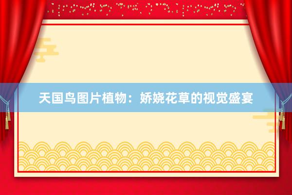 天国鸟图片植物：娇娆花草的视觉盛宴